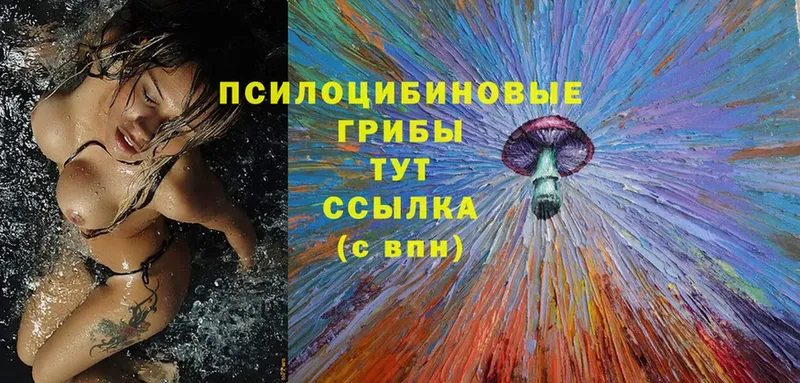 где купить наркоту  Магадан  Галлюциногенные грибы MAGIC MUSHROOMS 